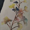 Initiation à l'aquarelle pour les grands débutants